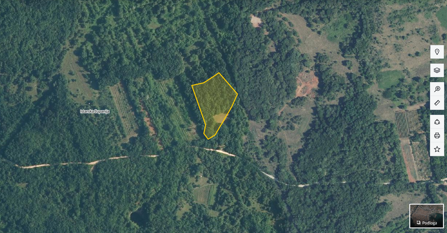 Kmetijsko zemljišče, GOZD — Marinovo