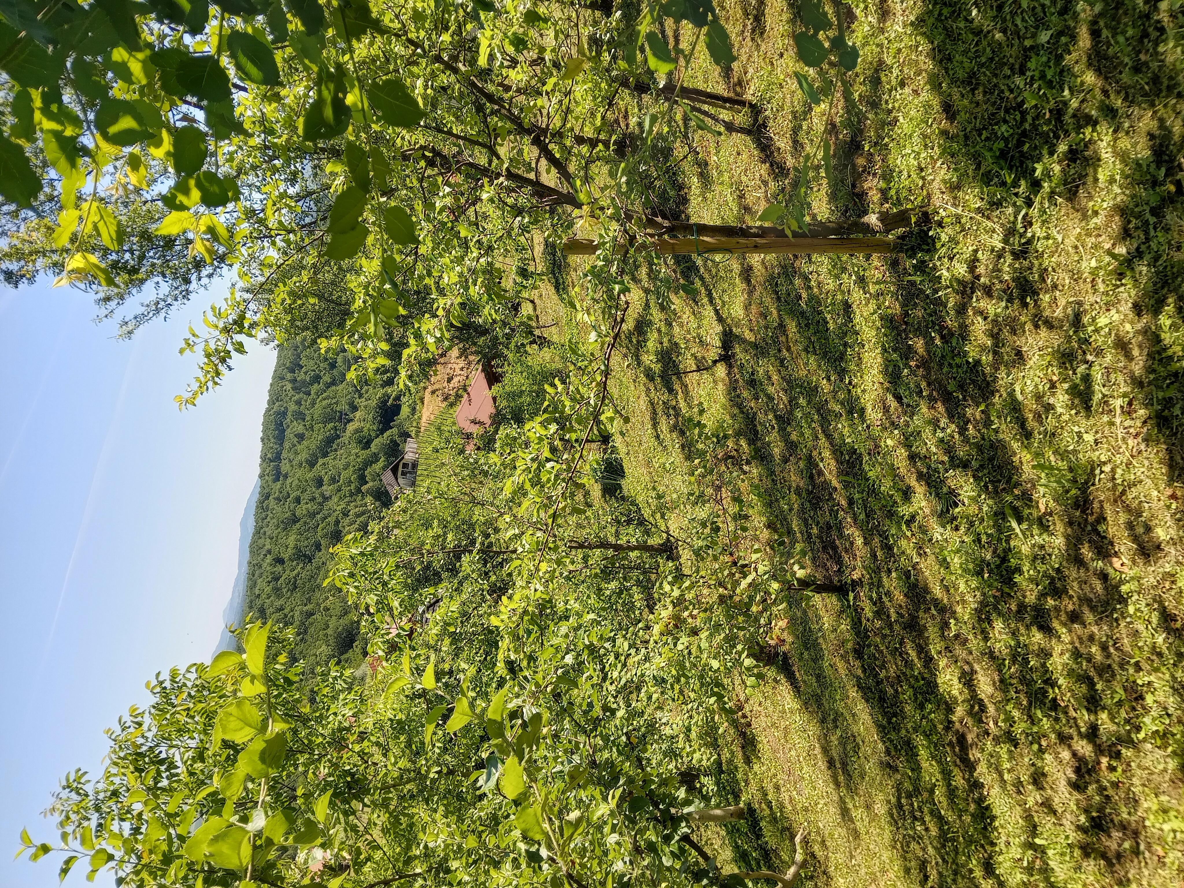 PRODAJA,POSEST,KMETIJSKO ZEMLJIŠČE