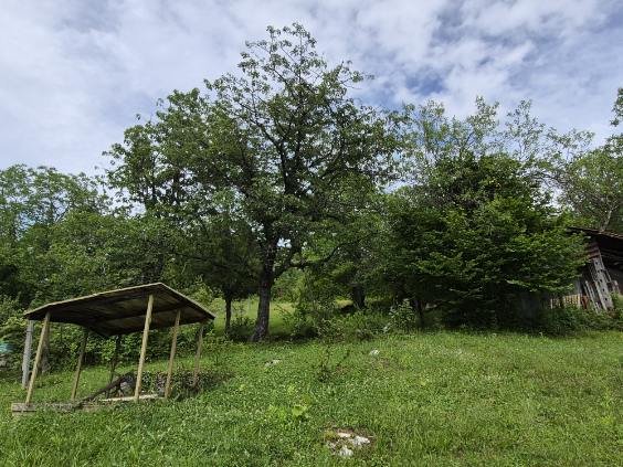 PRODAJA,KMETIJSKO ZEMLJIŠČE
