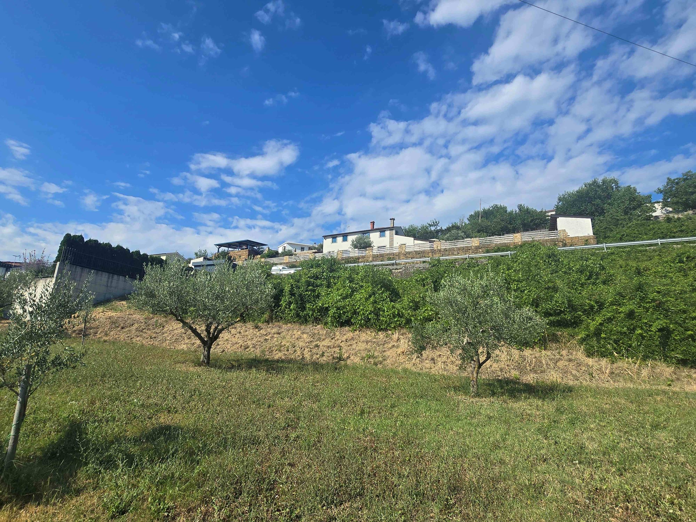 PRODAJA,POSEST,ZAZIDLJIVA