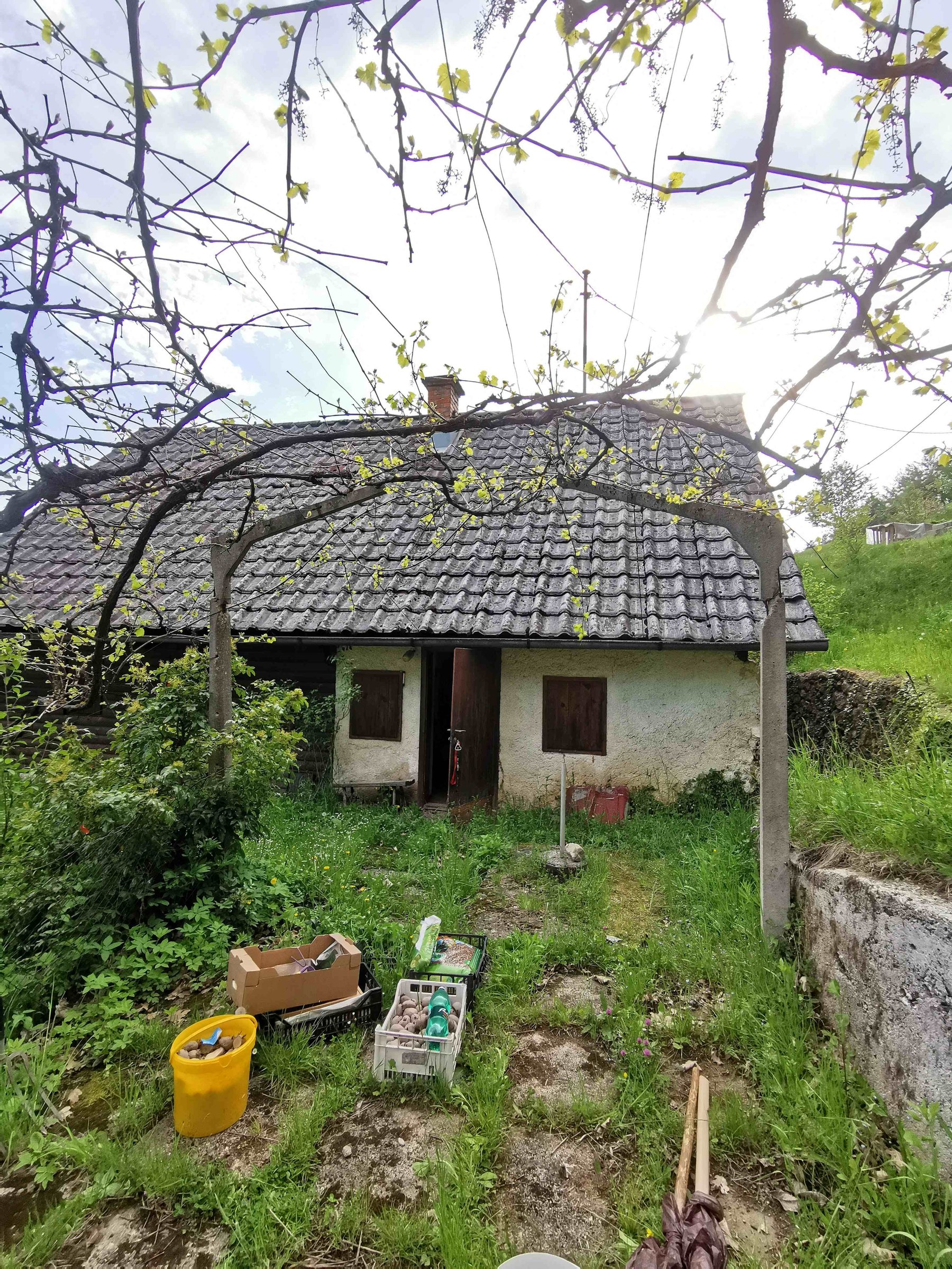 PRODAJA,POSEST,KMETIJA