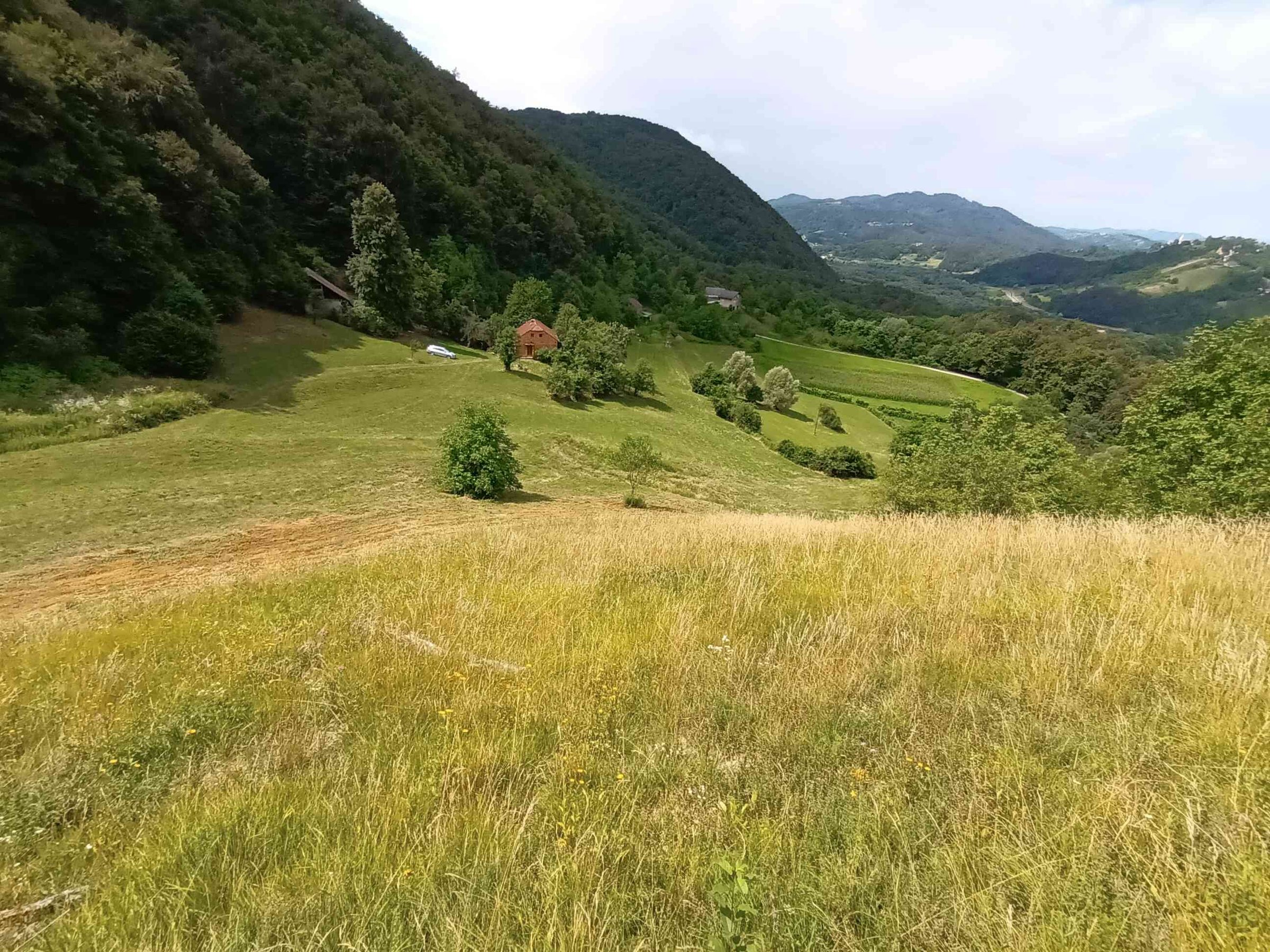 PRODAJA,POSEST,KMETIJA