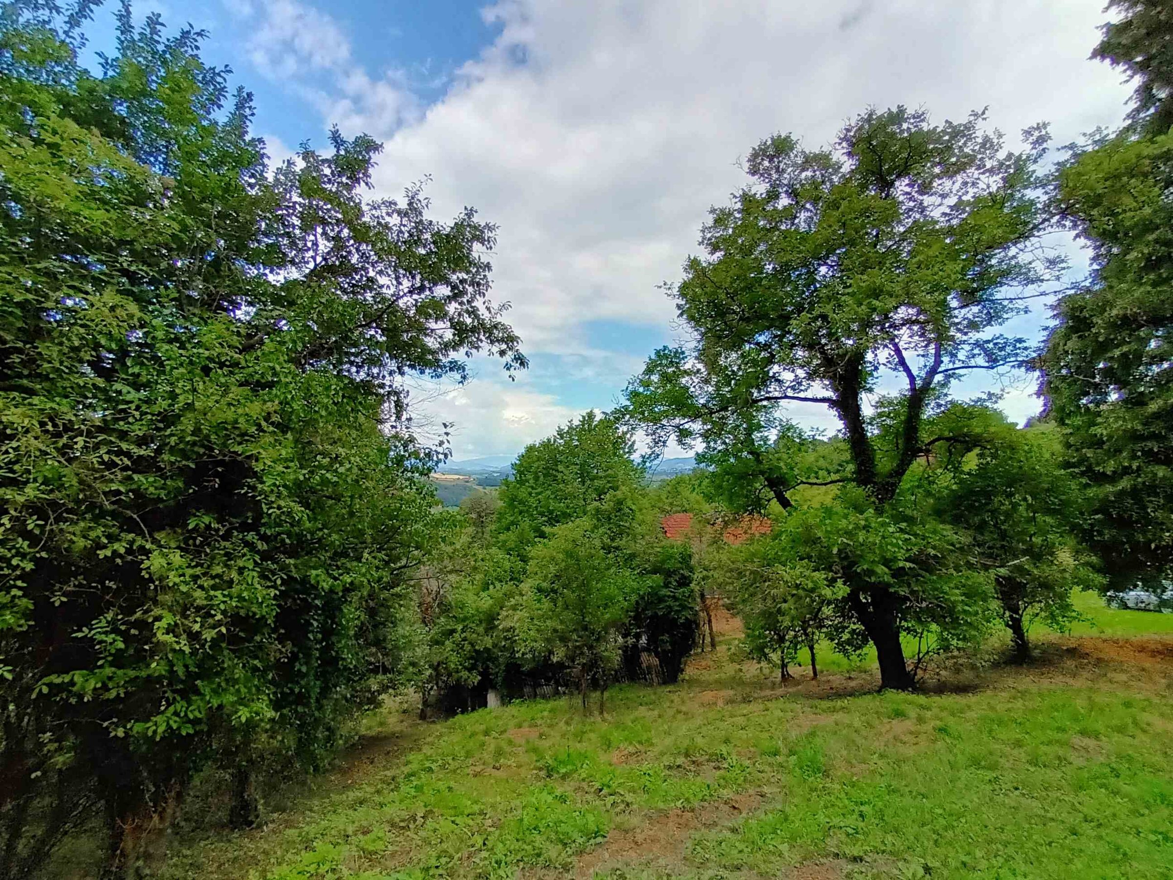 PRODAJA,POSEST,KMETIJA — Koordinate 46.176563, 15.648881