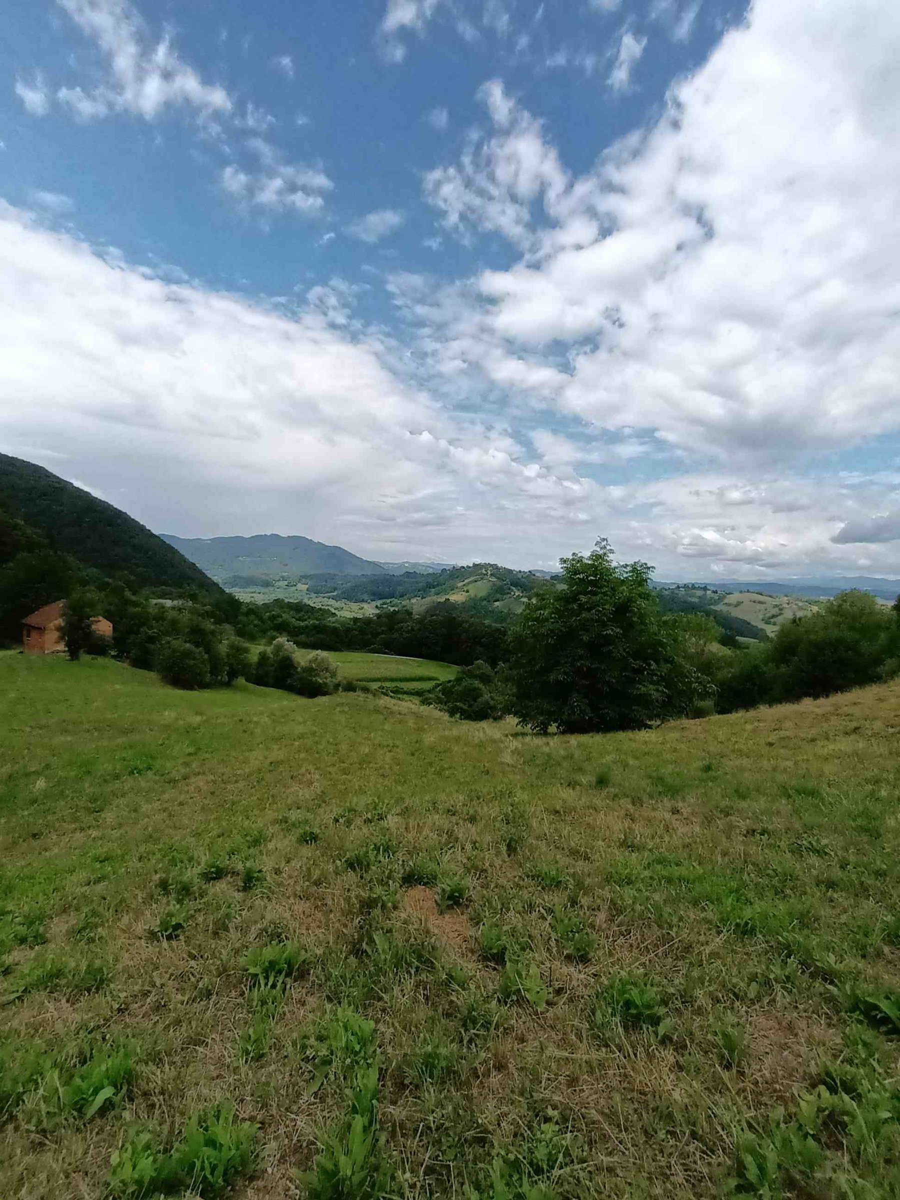 PRODAJA,POSEST,KMETIJA — Koordinate 46.176563, 15.648881