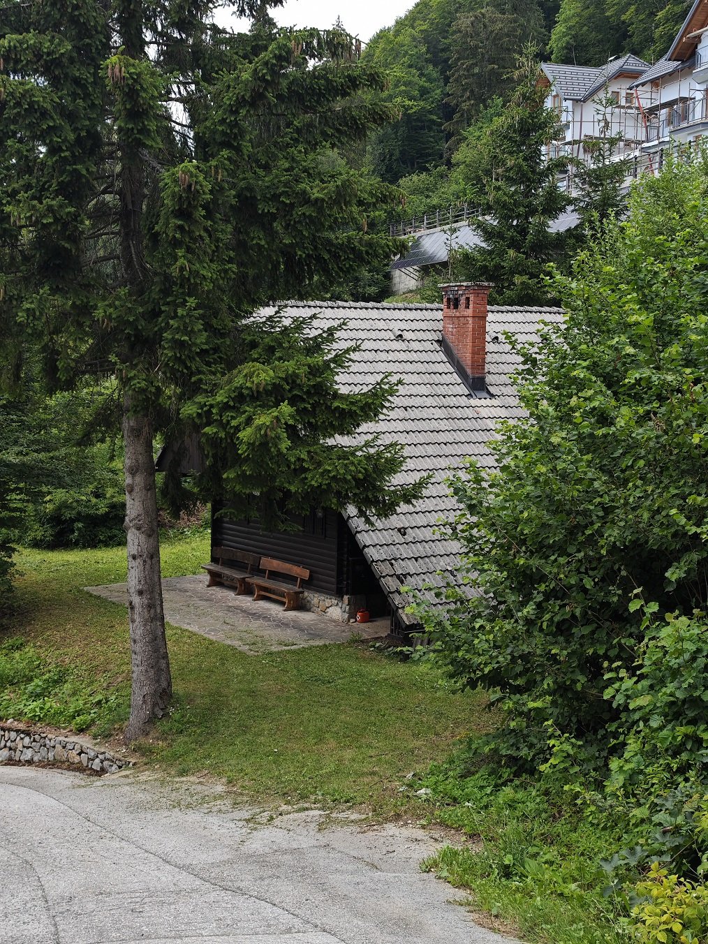 PRODAJA VIKEND ,LESEN