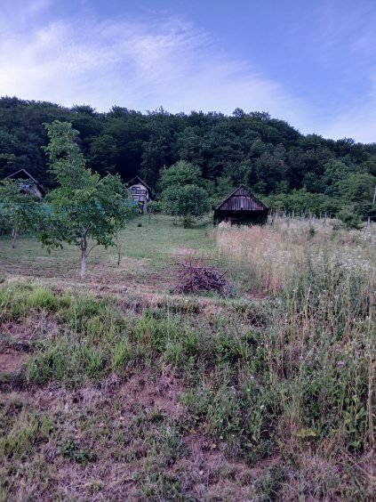 PRODAJA,POSEST,KMETIJSKO ZEMLJIŠČE