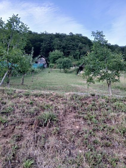 PRODAJA,POSEST,KMETIJSKO ZEMLJIŠČE