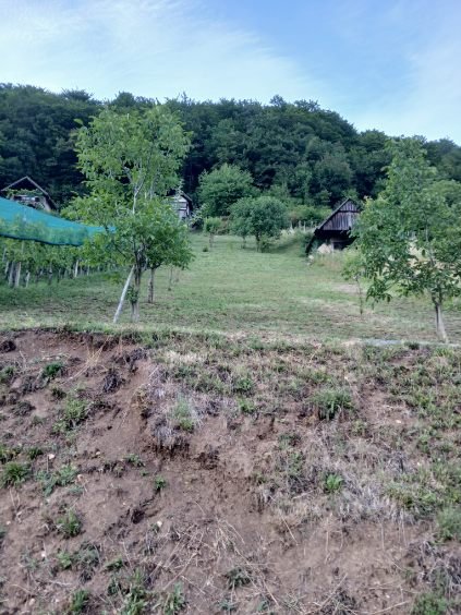 PRODAJA,POSEST,KMETIJSKO ZEMLJIŠČE