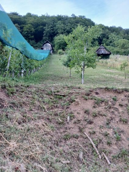 PRODAJA,POSEST,KMETIJSKO ZEMLJIŠČE