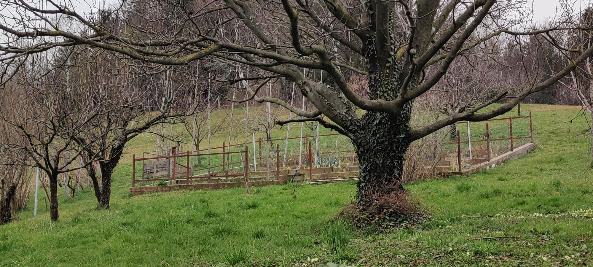 PRODAJA,HIŠA,SAMOSTOJNA — Jamniška cesta 10
