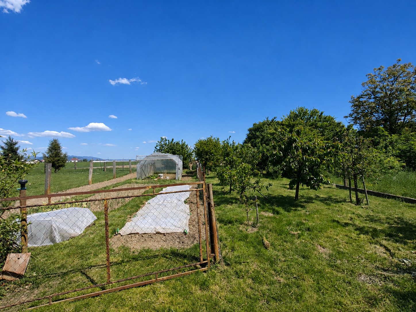Le 5 minut stran iz AC izvoza Drnovo stoji hiša s posestvijo