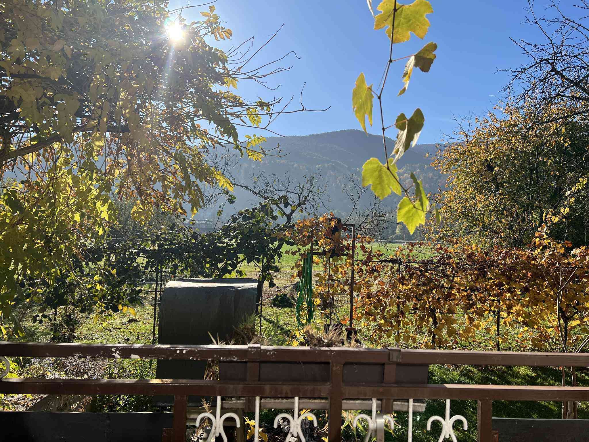 PRODAJA.HIŠA,SAMOSTOJNA — Sernčeva ulica 3
